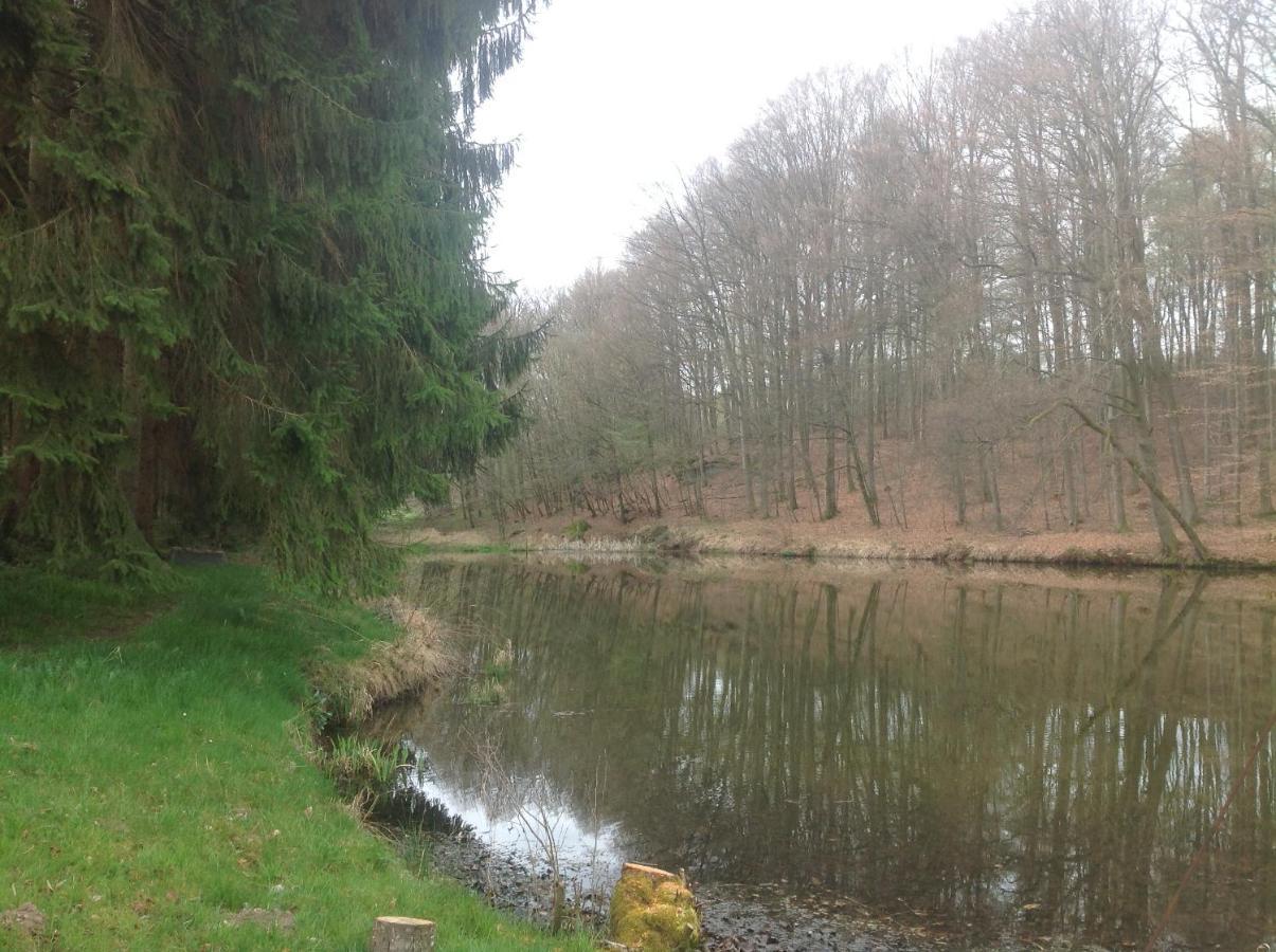 Gite du creux de la goutte Xertigny Extérieur photo